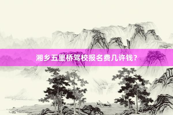 湘乡五里桥驾校报名费几许钱？