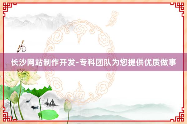 长沙网站制作开发-专科团队为您提供优质做事