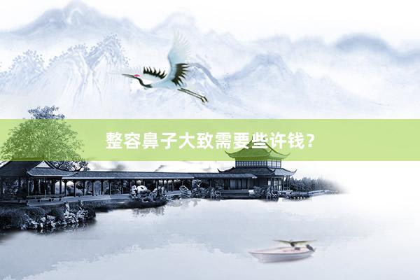 整容鼻子大致需要些许钱？