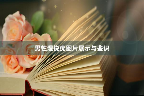 男性湿锐疣图片展示与鉴识