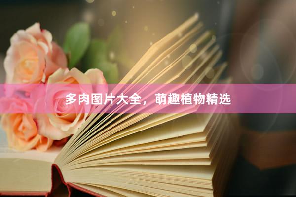多肉图片大全，萌趣植物精选