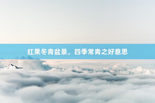 红果冬青盆景，四季常青之好意思
