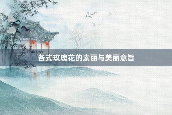 各式玫瑰花的素丽与美丽意旨